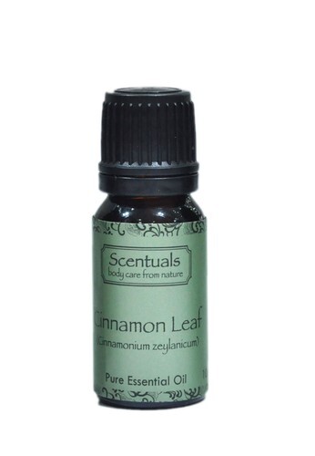 Tinh dầu lá quế Scentuals Cinnamon Leaf Pure Essential Oil 10ml