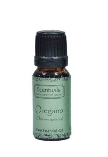 Tinh dầu rau thơm Scentuals Oregano Pure Essential Oil 10ml