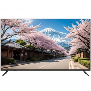 Smart tivi Sharp 4K 75 inch 4T-C75FM2X