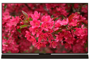 Tivi Smart OLED Panasonic 65 inch 4K TH-65FZ1000V