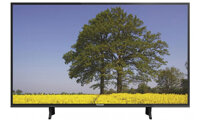 Tivi Smart Panasonic 65 inch 4K TH-65FX600V