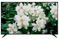 Tivi Smart TCL 4K 43 inch L43P65-UF