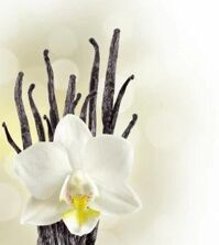 Tranh dán tường TD22A