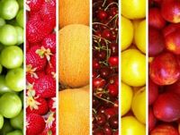 Tranh dán tường TD46A