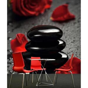 Tranh dán tường TD56A