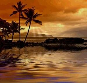 Tranh dán tường TD79A