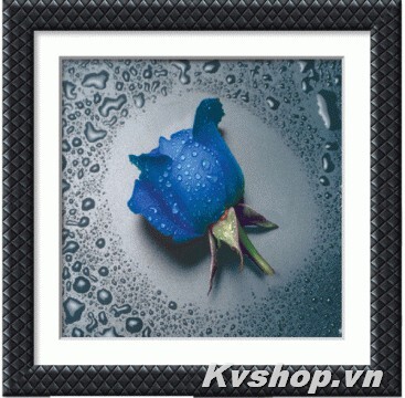 Tranh đính đá bông hoa hồng xanh - S8077