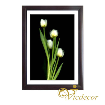 Tranh đơn sắc Tulip trắng Vicdecor TDS0028