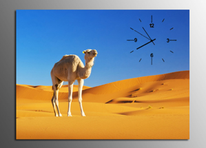 Tranh Đồng Hồ Sa Mạc Nắng