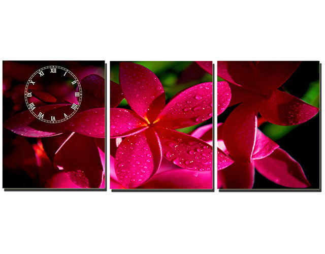 Tranh đồng hồ Suemall hoa sứ đỏ HL131206