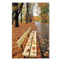 Tranh in Canvas sơn dầu 62