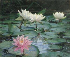 Tranh in canvas VTC LunaCV-0129 - hoa súng, 60 x 50cm