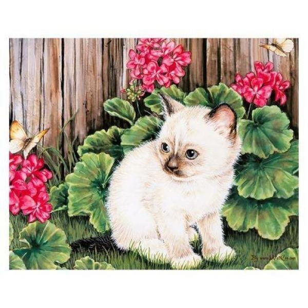 Tranh in canvas VTC LunaCV-0291 - mèo con, 60 x 48cm