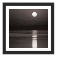 Tranh khung Thế giới tranh đẹp KT40-20