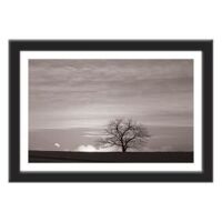 Tranh khung Thế giới tranh đẹp KWT50-30