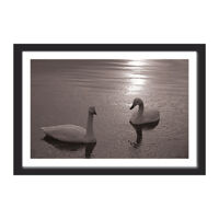 Tranh khung Thế giới tranh đẹp KWT50-13