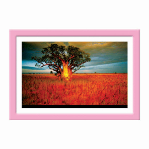 Tranh Thế giới tranh đẹp KW50-53