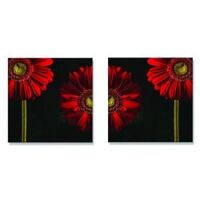 Tranh treo tường Thế Giới Tranh Đẹp 084CY