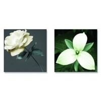 Tranh treo tường Thế Giới Tranh Đẹp 073CY