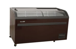 Tủ đông Snow Village 2m 718 lít BD/BC-718