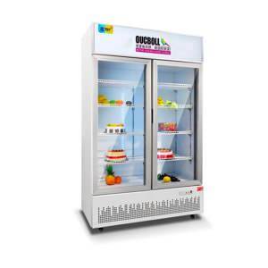 Tủ đông đứng Oucboll LD-1200F - 820 lít
