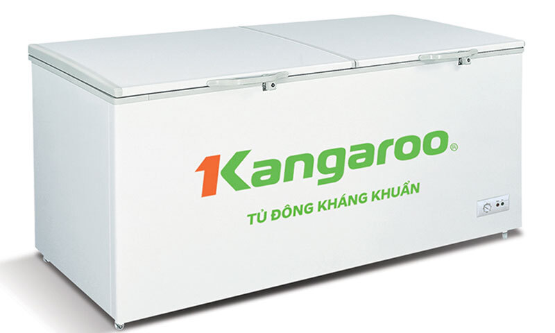 Tủ đông Kangaroo 1 ngăn 1000 lít KG1009C1