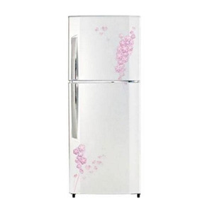 Tủ lạnh LG Inverter 225 lít GN-L222BF