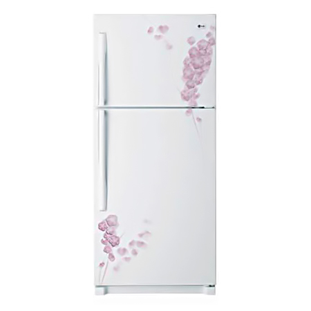 Tủ lạnh LG 255 lít GN-255PG