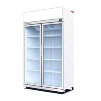 Tủ mát 2 cánh kính Turbo Gold TG-2DC-G