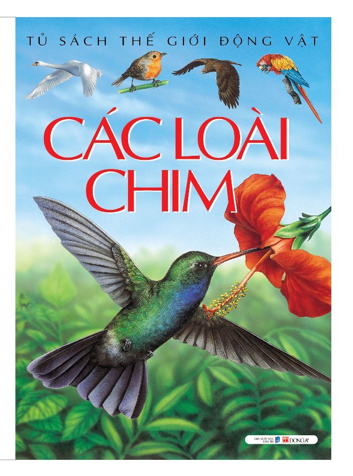 Tủ sách thế giới động vật: Các loài chim - Emilie Beaumont