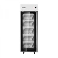 Tủ sấy chén bát tiệt trùng Fujihome DD300A