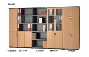 Tủ văn phòng- TU CAO 1