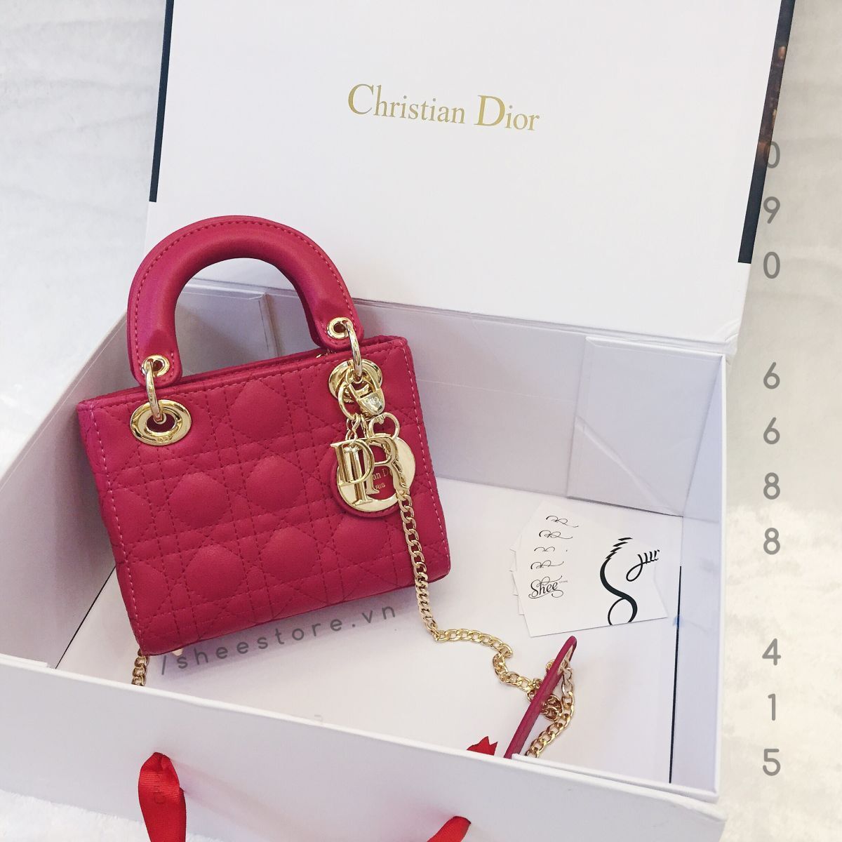 Túi xách Dior Lady 3 ô da bóng Fake1