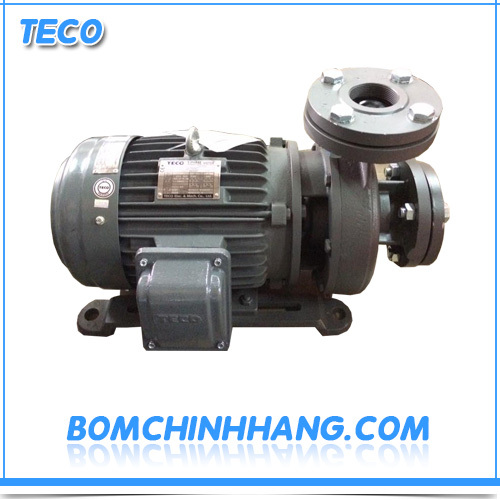 Máy bơm ly tâm đầu gang 4 pole TECO G315-150-4P-15HP 15HP 