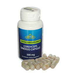 Viên uống đông trùng hạ thảo Cordyceps Sinensis Capsule 60 viên