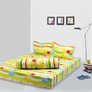Bộ ga gối bọc Vietdrap VDCTB162 - 160 x 200 cm