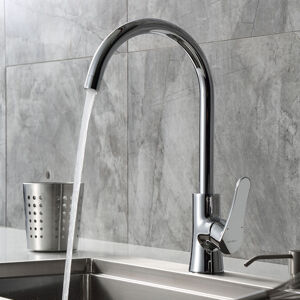 Vòi rửa bát Aqualem CF1102