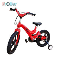 Xe đạp Broller XD Sebastian