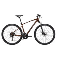 XE ĐẠP ĐỊA HÌNH MTB GIANT ROAM 2 DISC 2022