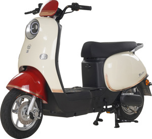 Xe đạp điện Dibao Rosa