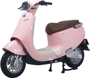 Xe đạp điện DK Lyva Moda