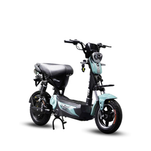 Xe đạp điện DK Z Buff