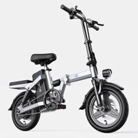 Xe đạp điện gấp gọn G-Force Z14