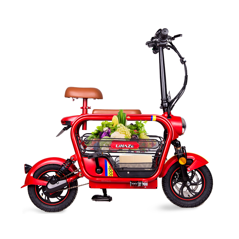 Xe đạp điện Lihaze Mini