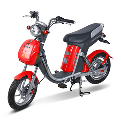 Xe đạp điện Nijia Maxbike 20A