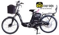 Xe đạp điện Nishiki 22