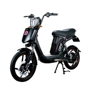 Xe đạp điện Pega Cap-AS