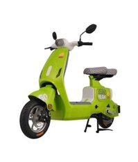 Xe đạp điện Tailg GR55