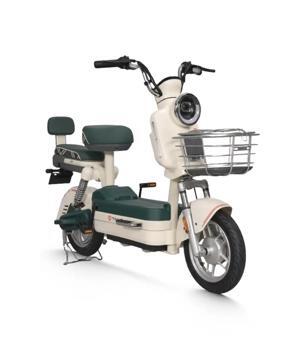 Xe đạp điện Tailg JS32