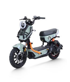 Xe đạp điện Tailg X51